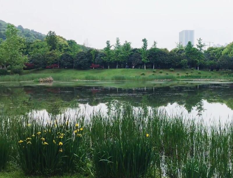 湖北武汉马鞍山森林公园景点介绍1