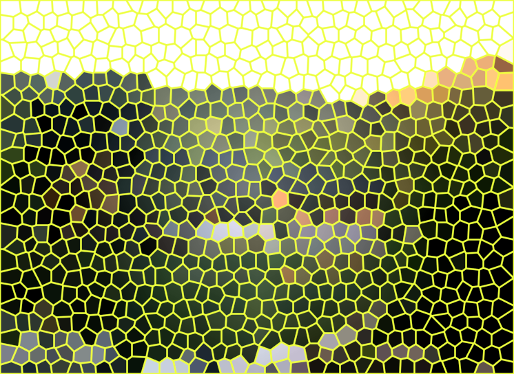 湖北襄阳习家池风景区景点介绍1