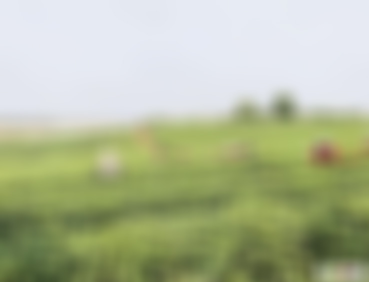 湖北武汉果乐小镇景点介绍1