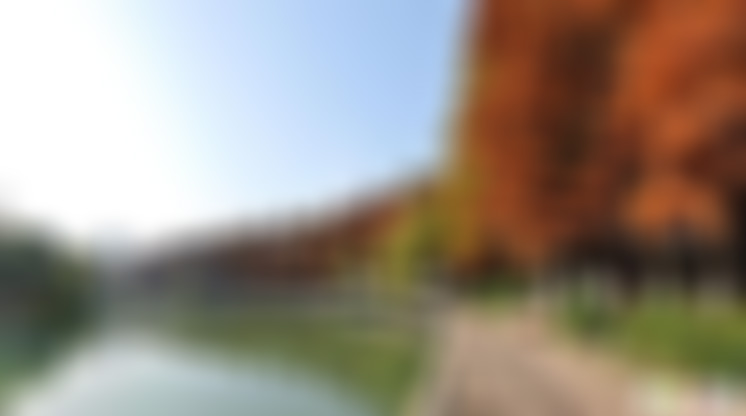 湖北武汉解放公园景点介绍1