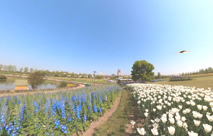 湖北武汉武汉花博汇景点介绍1