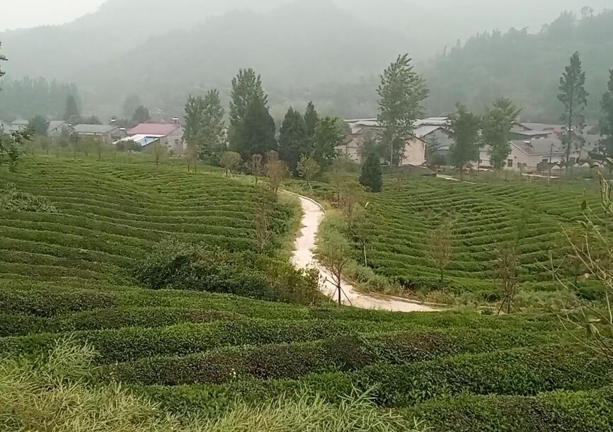 湖北襄阳五山堰河乡村旅游区景点介绍1