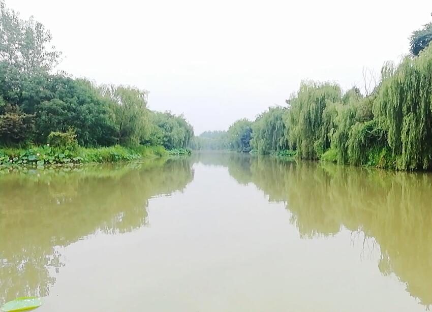 湖北孝感朱湖湿地公园景点介绍1