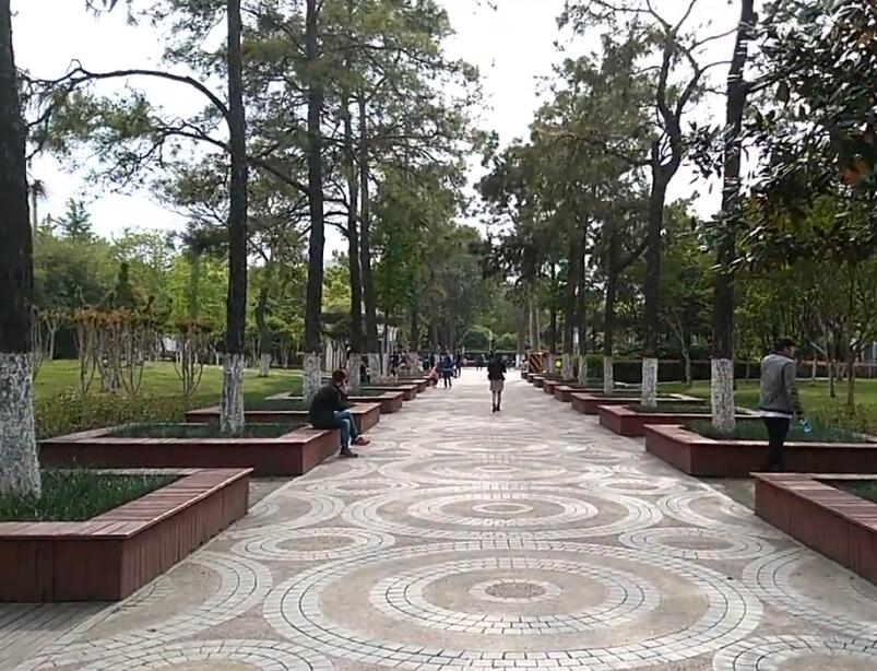 湖北武汉常青公园景点介绍1