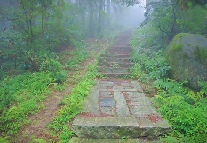 湖北黄冈大崎山森林公园景点介绍1