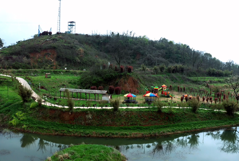 湖北黄石花海知音景点介绍1
