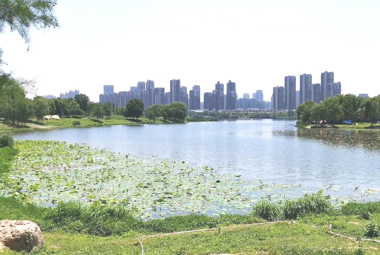湖北武汉墨水湖公园景点介绍1