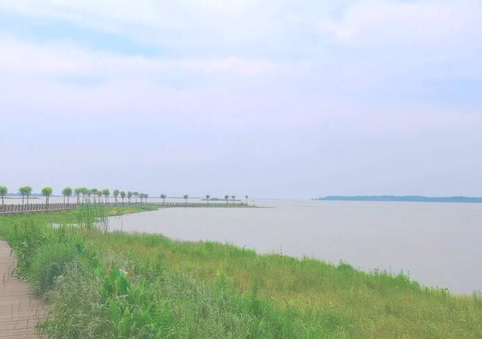 湖北武汉安山国家湿地公园景点介绍1