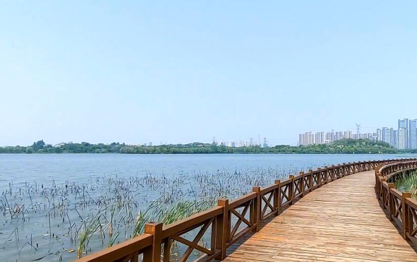 湖北武汉醉美西湖景点介绍1