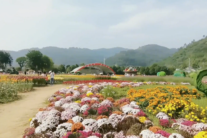 湖北十堰黄龙壹号生态园景点介绍1