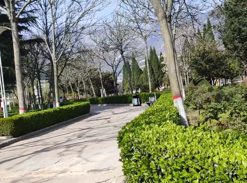 湖北武汉嵩阳森林公园景点介绍1