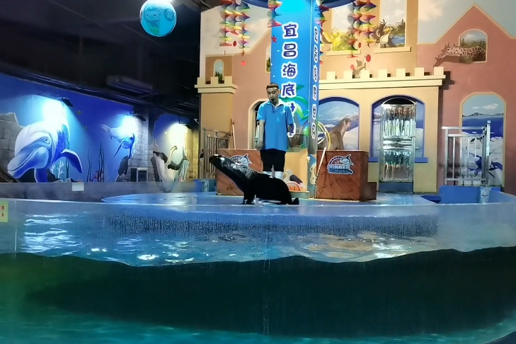 湖北咸宁澄水洞(俗称131工程)景点介绍1