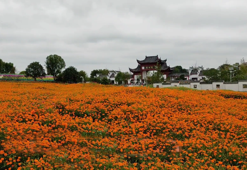 湖北孝感楚珍园度假区景点介绍1