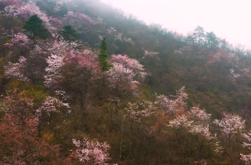 湖北黄石东方山琉璃宝塔景点介绍1