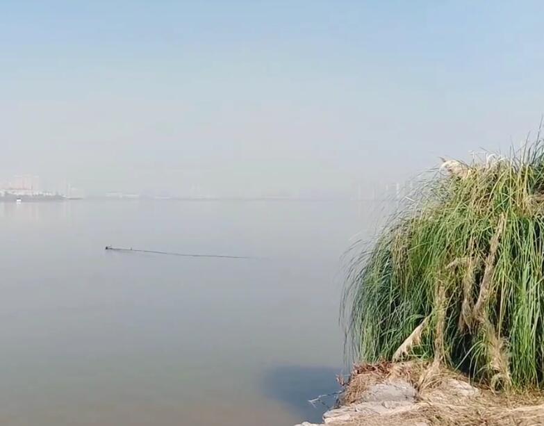 湖北武汉桐湖湿地公园景点介绍1