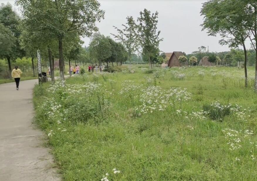 湖北湖北旅游排湖风景区景点介绍1