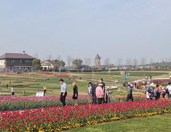 湖北武汉江夏花博园景点介绍1