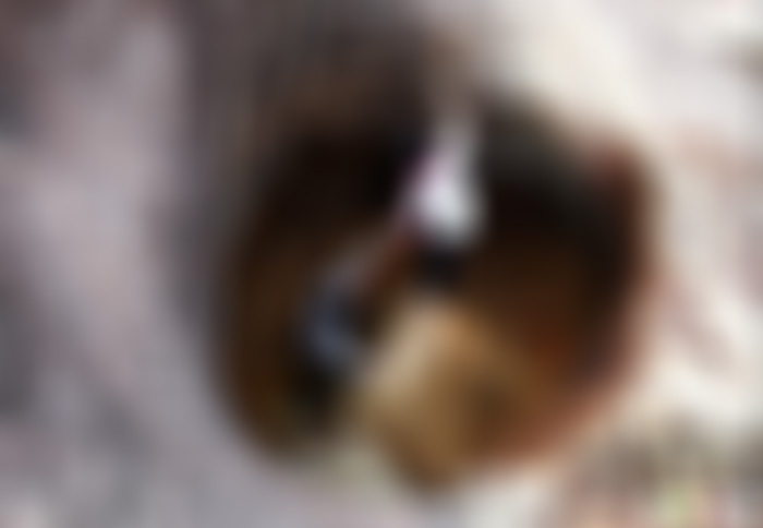 广东江门景点大雁山笑佛景点介绍1