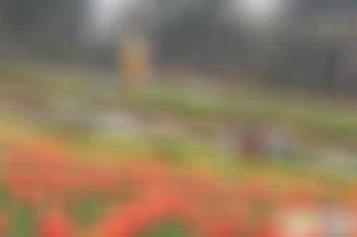 广东河源景点苏家围永思堂景点介绍1