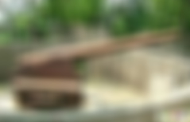 广东肇庆景点七星岩狮岗炮台景点介绍1