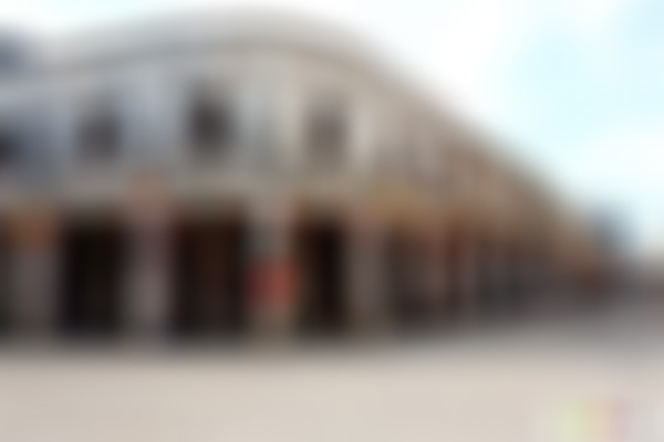 广东河源景点佗城百岁街景点介绍1