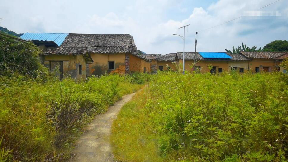 广东河源景点夏田古围景点介绍1