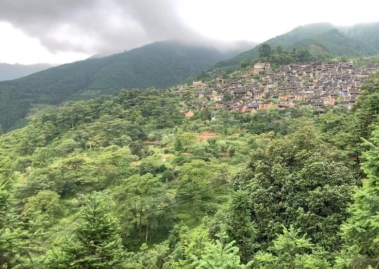 广东韶关景点梅关庾将军祠景点介绍1