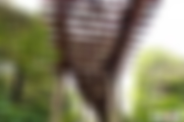 广东广州景点何仙姑天花井景点介绍1