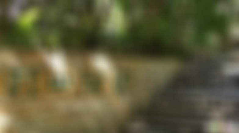 广东韶关景点别传寺摩崖石刻群景点介绍1