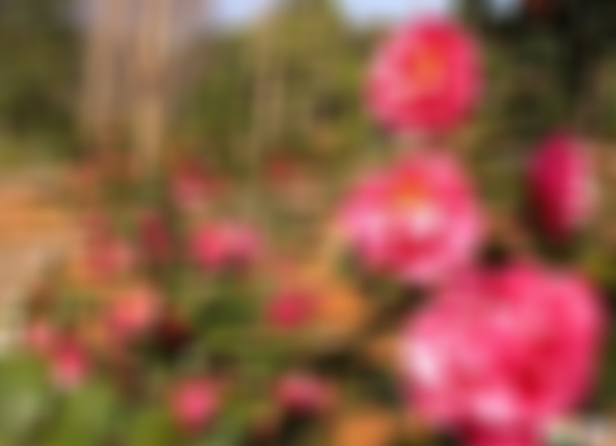 广东梅州景点五指石罗汉峰景点介绍1