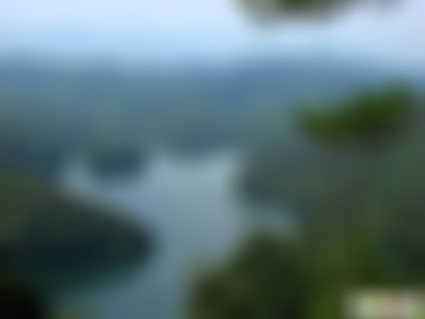 广东深圳景点龙园五龙亭景点介绍1