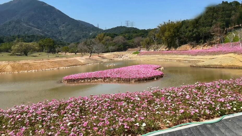 广东广州景点广州农科大观景点介绍1