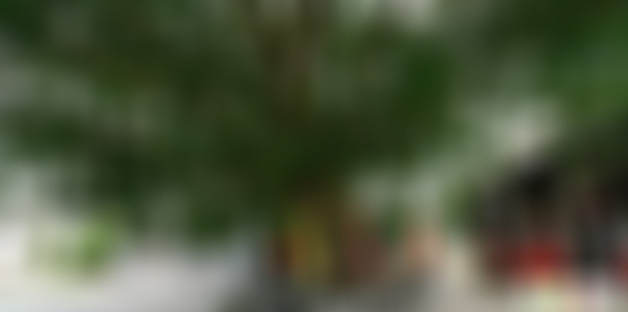 广东惠州景点御景湾温泉渡假村景点介绍1