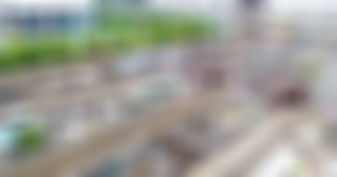 广东梅州景点马山生态茶园景点介绍1