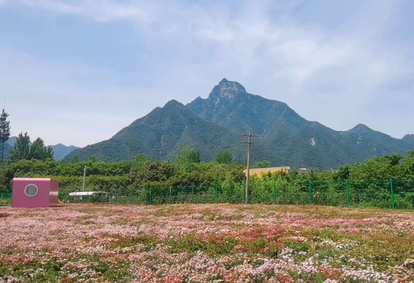 广东佛山景点清晖园笔生花馆景点介绍1