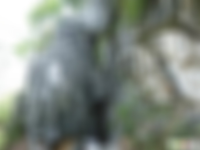 广东肇庆景点七星岩珓杯石景点介绍1