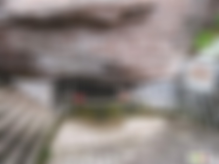 广东汕头景点太安堂中医药博物馆景点介绍1