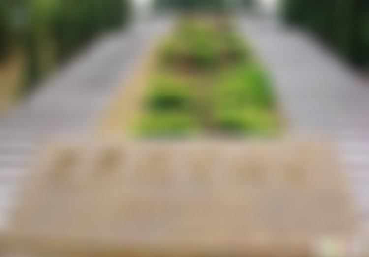 广东深圳景点深圳博物馆景点介绍1