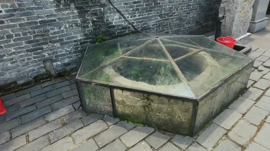 广东河源景点佗城越王井景点介绍1