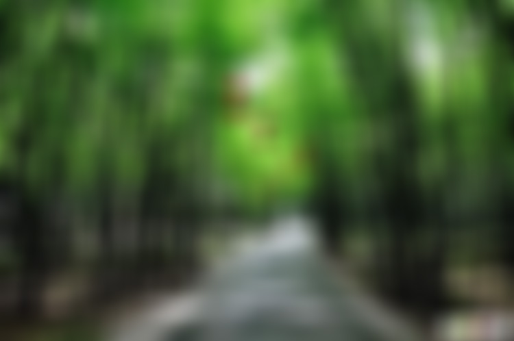 广东韶关景点丹霞山嘉遁亭景点介绍1