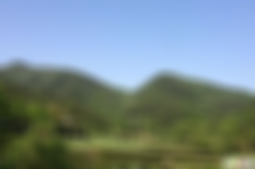 安徽合肥景点紫桐公园景点介绍1