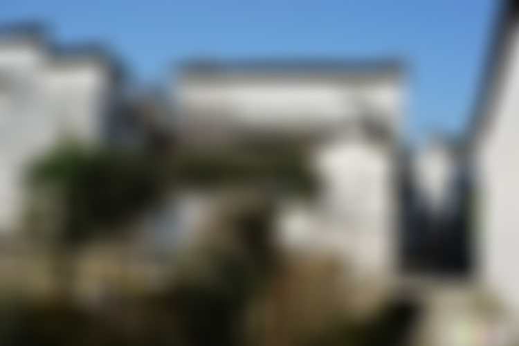 安徽黄山景点屏山玉兰庭景点介绍1