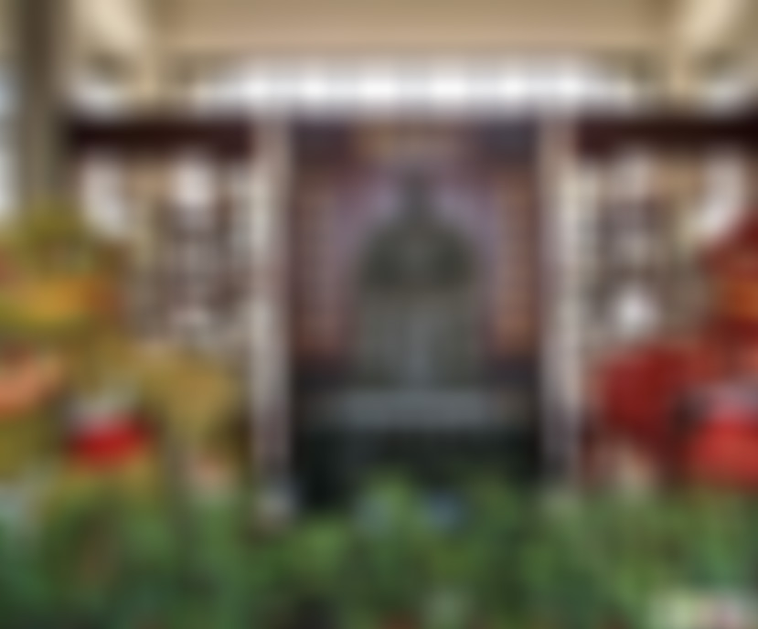 广东佛山景点黄飞鸿狮艺武术馆景点介绍1