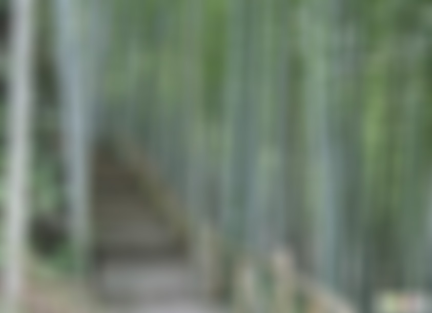 安徽黄山景点天湖竹海景点介绍1