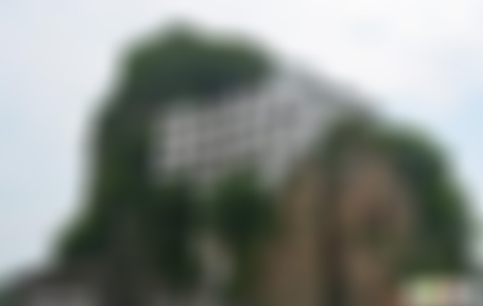 安徽宣城景点神秘灵芝谷景点介绍1