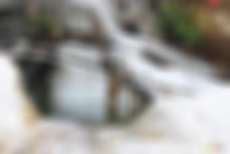 安徽黄山景点齐云山摩崖石刻景点介绍1