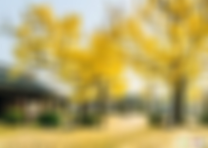 安徽黄山景点乐彼园景点介绍1