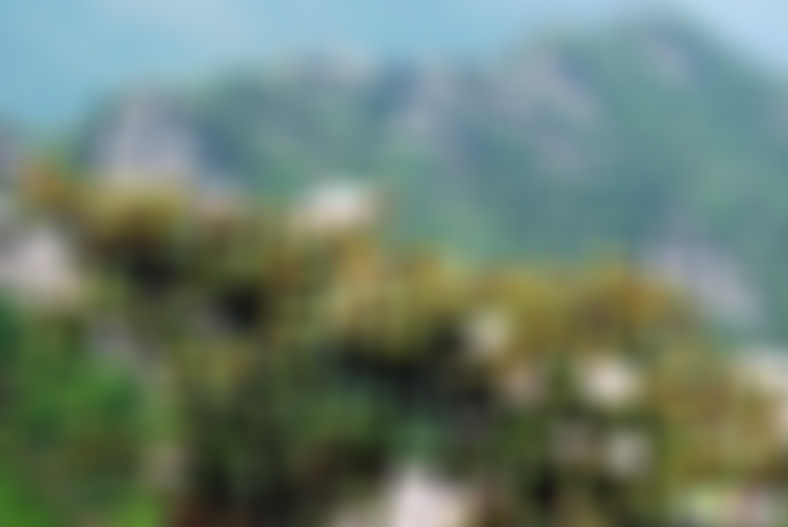 安徽宿州景点国际马术赛场景点介绍1