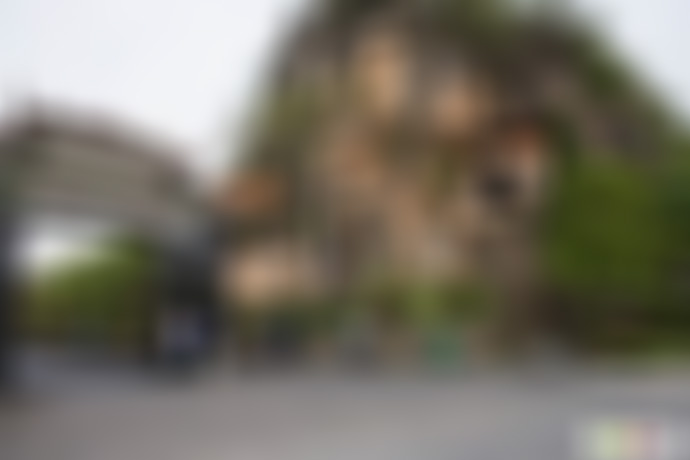 安徽黄山景点大坪山茶园景点介绍1