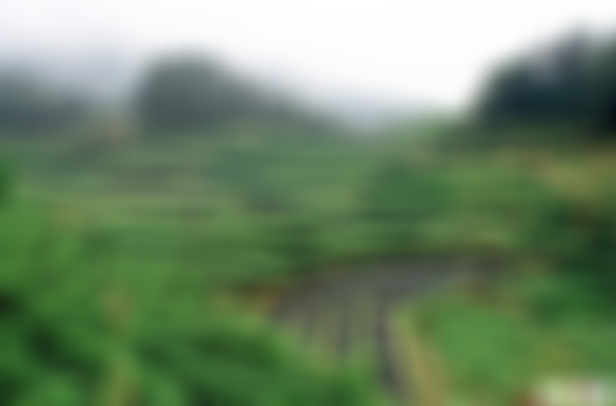 安徽安庆景点孔城一人巷景点介绍1